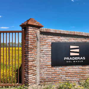 Parcelas en venta, praderas del maule san rafael, talca