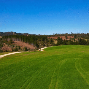 hacienda lo gallardo pichilemu