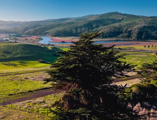 campo subdividido como venderlo bien estrategia profesional