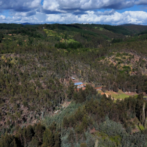 Senderos de Quilico, Parcelas en Venta en Hualañé