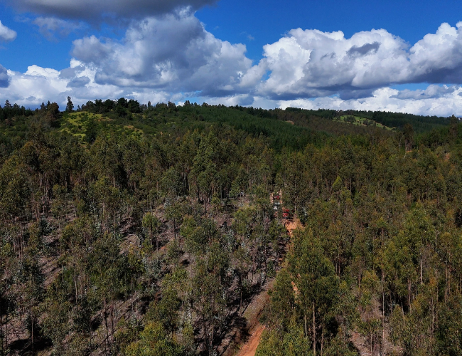 invertir en la costa de pichilemu vivir e invertir bien