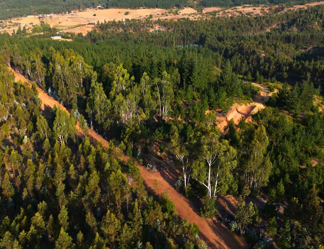 invertir en terrenos maule hualane