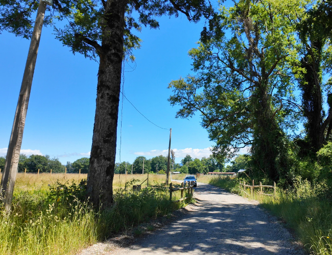 como asegurar servicios basicos parcela