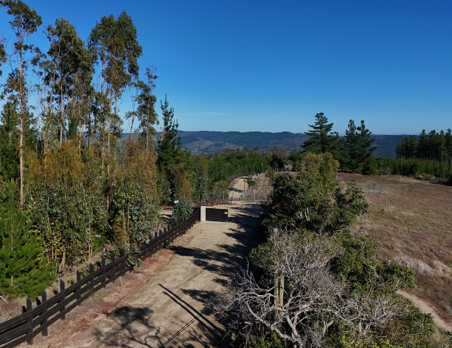 como preparar terreno antes de construir